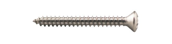 VVS-Skruv 100st/frp 4,2x19 DIN7983 KFXS A4 TX PZ2