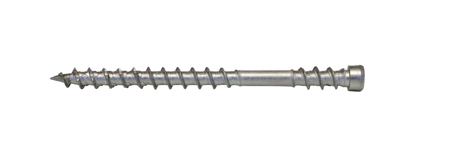 TRALLSKRUV DOLD 4,8X60 1000st/frp A4 TX15