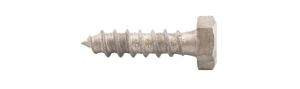 Fransk Träskruv 6,0x25 100st/frp T6S Varmförzinkad DIN571