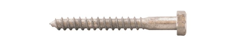 Fransk Träskruv 8,0x75 100st/frp T6S Varmförzinkad DIN571