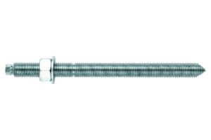 Ankarpinnskruv EQ-A4 M8x110 10st/frp 5.8 A4-syrafast