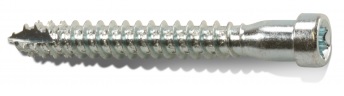 KARMHYLSSKRUV FÖR TRÄ 8,0X65 FZB TX30 100st/frp
