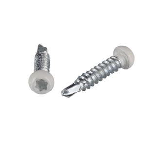 Pilasterskruv ST 4,8x23 200st/frp A2 RAL9010 VIT TX20