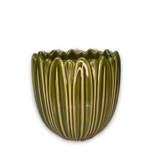 Kruka Grön, Benja (Dia: 16,5 cm) - Miljögården