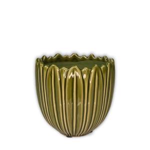 Kruka Grön, Benja (Dia: 14 cm) - Miljögården