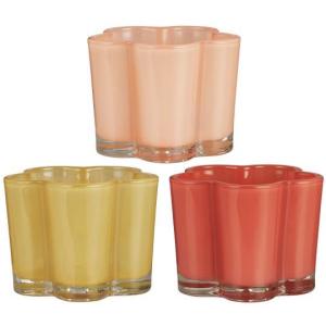 Ljuslykta Primula - Ib Laursen