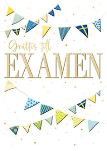 Grattis till Examen, Vimplar - Pictura