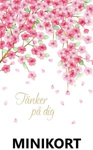 Mini-kort: Tänker på dig, Körsbärsblommor - Pictura