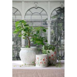 Kruka Vallmo, Poppy - Wikholm Form          BERÄKNAD LEV: FEB