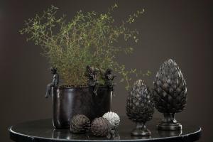 Kronärtskocka (mullvad)