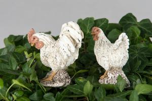 Höna, Vit med mörka fläckar, Stick - A lot