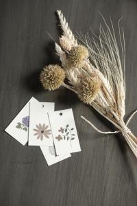 Tags i kartong, Naturmotiv 2021- Ib Laursen, set om 5
