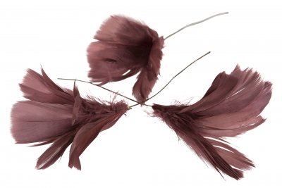 Fjädrar till riset, mörkrosa (blomma)