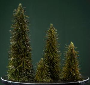 Fjädergran Grön, 80 cm - A lot