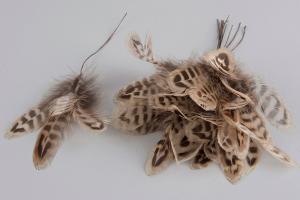 Fjädrar till riset, Rand (blomma)