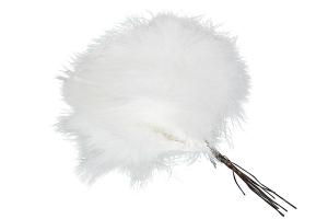 Fjädrar till riset, Vit (pudervippa)