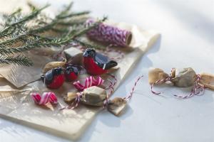 Domherre, 3 pack (2,5-4,5 cm)  - Nääsgränsgården     KOMMER SNART!