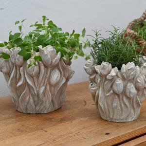 Kruka Tulpaner, Botanica (Dia: 21 cm) - Miljögården