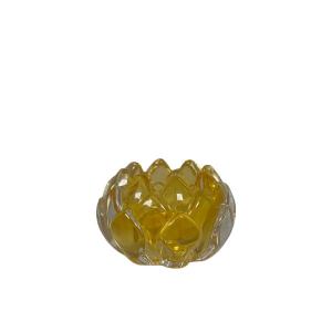 Ljuslykta Protea, Gul (Höjd: 5 cm) - Miljögården    BERÄKNAD LEV: FEB/MARS