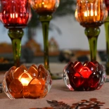 Ljuslykta Protea, Orange (Höjd: 5 cm) - Miljögården    BERÄKNAD LEV: FEB/MARS