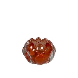 Ljuslykta Protea, Orange (Höjd: 5 cm) - Miljögården    BERÄKNAD LEV: FEB/MARS