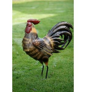 Tupp Metall Brun / Svart (52 cm) - A lot      BERÄKNAD LEV: MARS