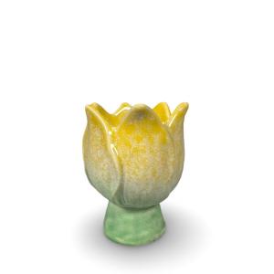 Ljuslykta, Blomma Gul / Grön, Arista - Miljögården