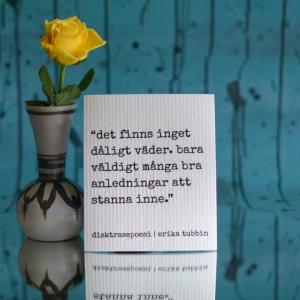 Disktrasa, DÅLIGT VÄDER - Erika Tubbin
