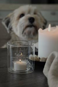 Majas Lykta Pälskling - 8x8 cm - Majas Cottage