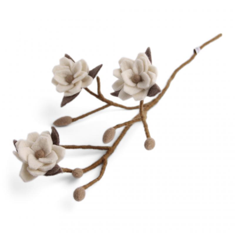 Tovad gren med vita magnolia blommor