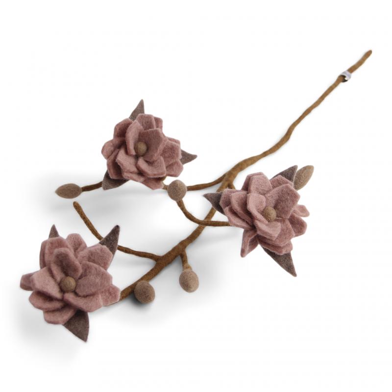 Tovad gren med smutsrosa magnolia blommor