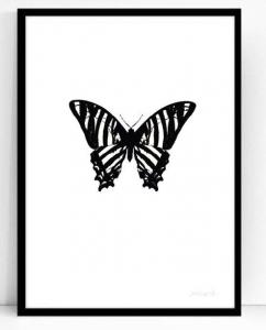 Poster - Atelje Epifor (Hippotigris)- 50x70