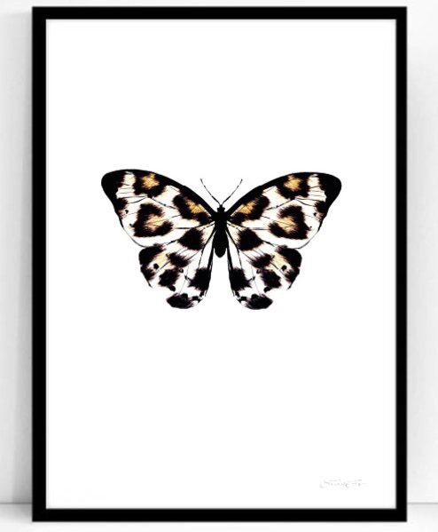 Poster - Atelje Epifor (Panthera Pardus)- 50x70