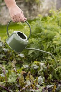 Vattenkanna i metall, Grön (0,9 liter) - Ib Laursen