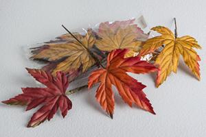 Höstlöv (påse med 12 större löv)