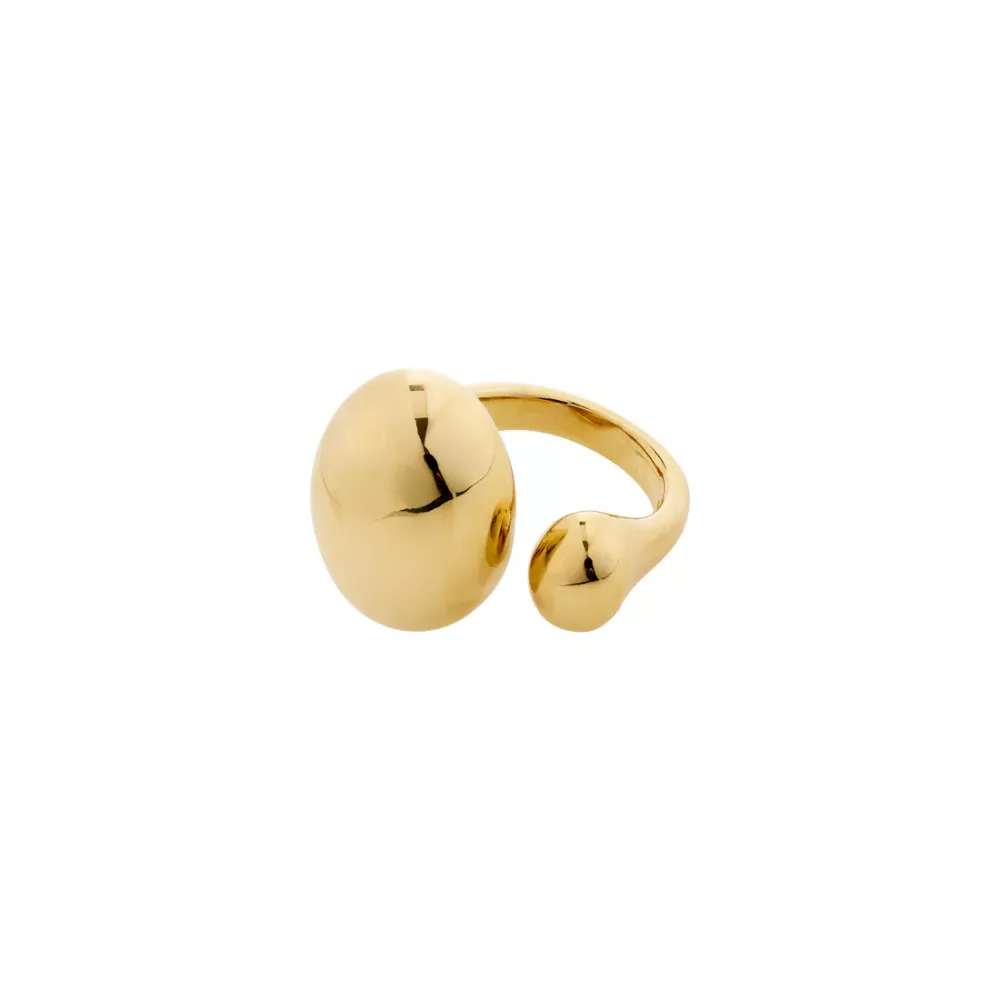 Ring Alvin Guldpläterad – Pilgrim
