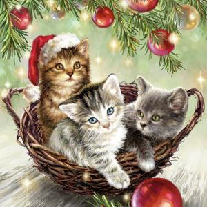 Ambiente Servetter - Cats in basket (Lunch)
