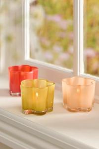 Ljuslykta Primula - Ib Laursen