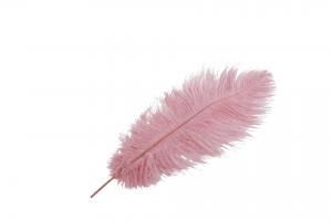 Strutsfjäder, Mörkrosa (35-40 cm)