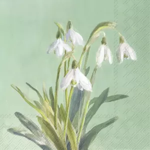 Servetter - Snödroppar Bunch Of Snowdrops Green