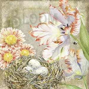 Servetter - Augusta (Lunch)