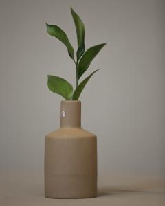 Albacken, Rak brun vas - Storefactory