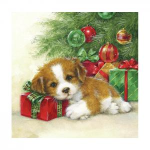 Ambiente servetter - Gift guard (Lunch)