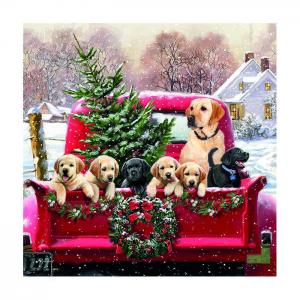 Ambiente servetter - Family trip (Lunch)