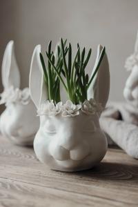 Majas Floral Bunny Vas - Majas Cottage      LEV FEB