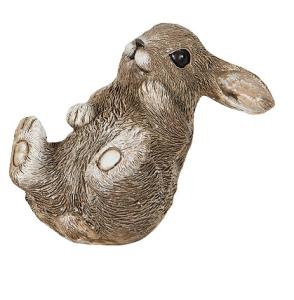 Vädurskanin baby, öppna ögon - A lot