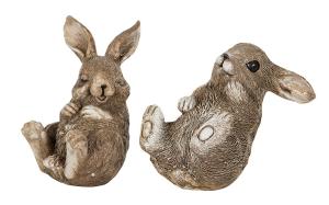 Vädurskanin baby, öppna ögon - A lot