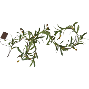 Ljusslinga Oliv, Girlang