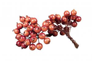 Bär orange, för dekoration (A lot)