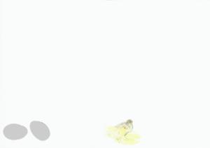 Dubbelvikt kort i akvarell - Hönor